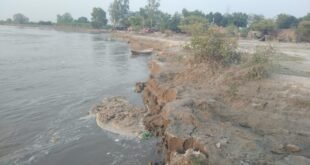गंगा के कटान से हजारों बीघा उपजाऊ जमीन कटी