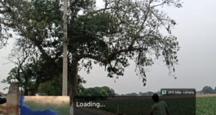 खतरनाक मोड़ और झुका पेड़ बना हादसों का कारण, ग्रामीणों में आक्रोश राजपुर गुडेरा संपर्क मार्ग / रतनपुर पमारान बाजार