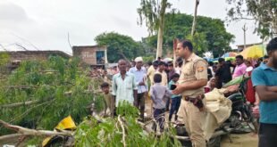 गूजरपुर पमारान के साप्ताहिक बाजार में अचानक हुआ हादसा; पुलिस और एंबुलेंस पहुंची, पुराने पेड़ों को हटाने की उठी मांग
